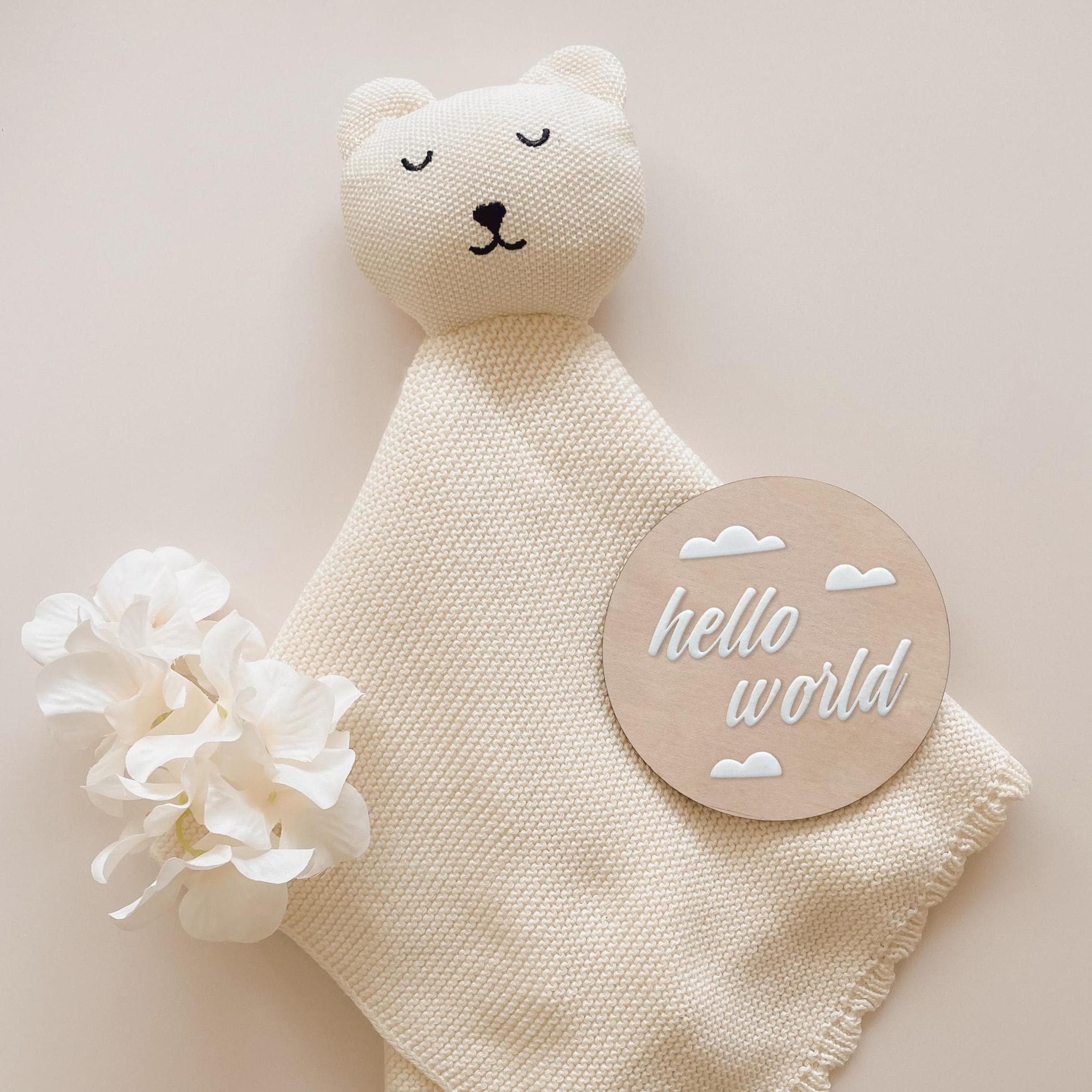 Newborn Gift Set: Organic Cotton Comforter & Hello World Plaque