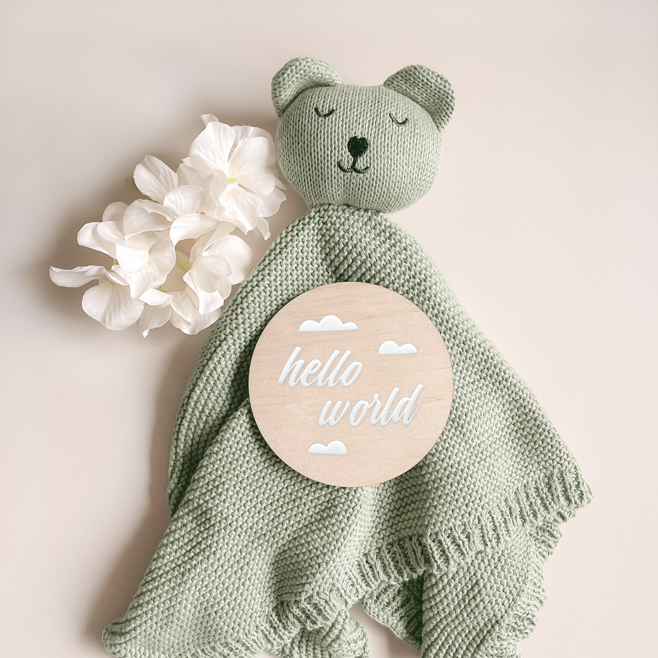 Newborn Gift Set: Organic Cotton Comforter & Hello World Plaque