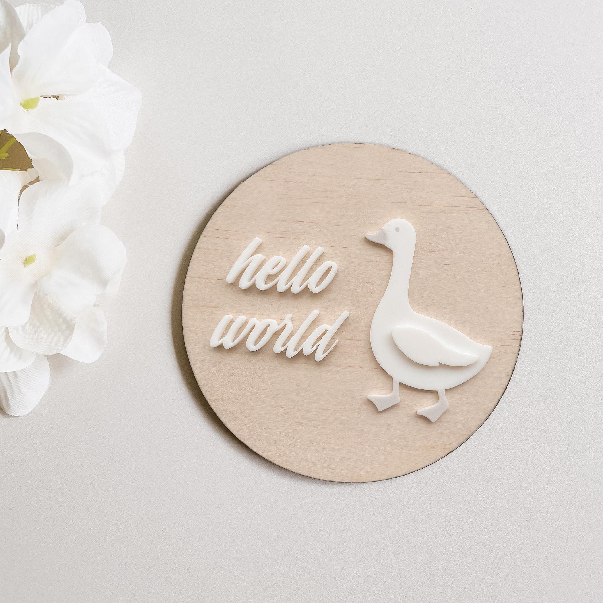 Hello World Baby Announcement Plaque: Wooden Photo Prop, New Parent Gift
