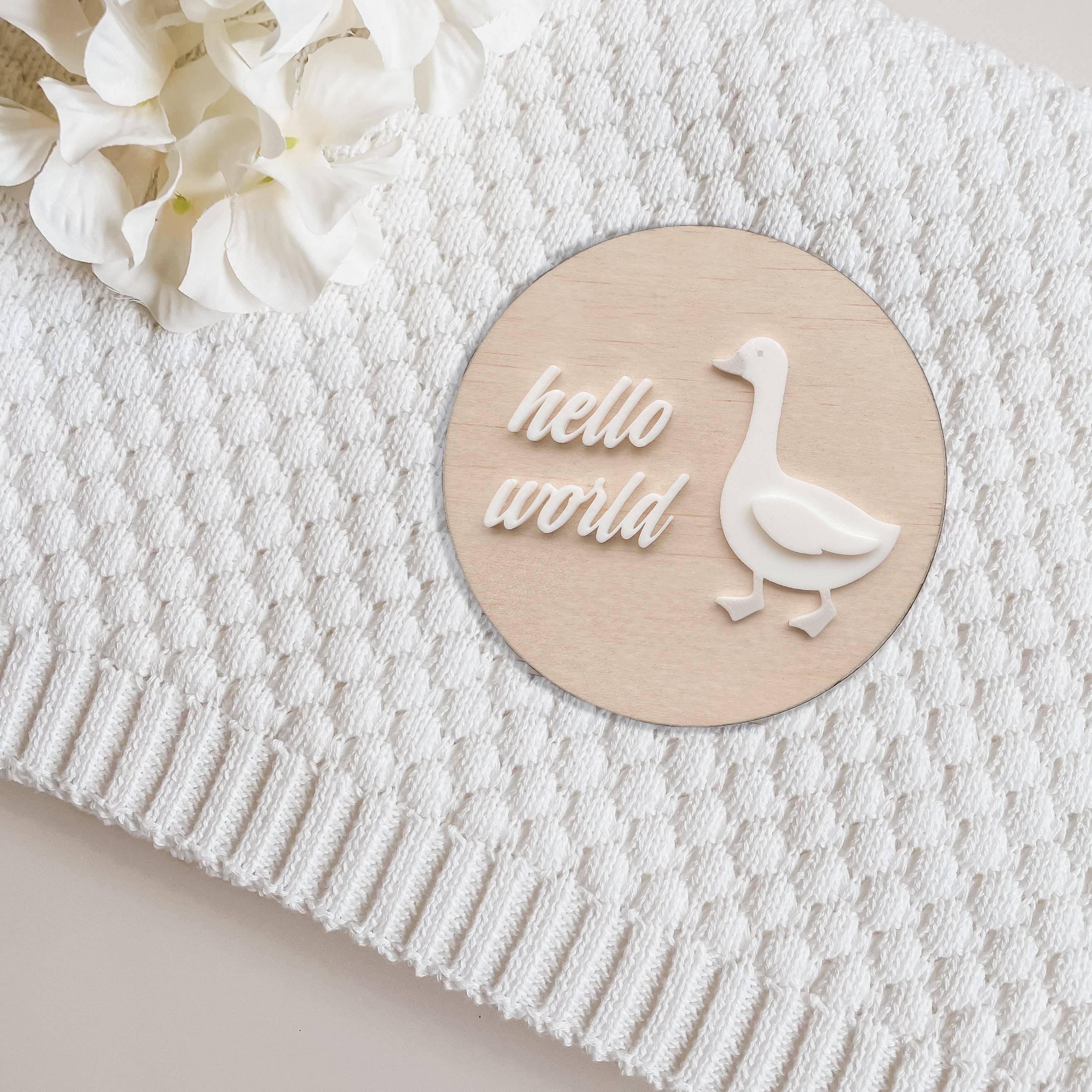 Hello World Baby Announcement Plaque: Wooden Photo Prop, New Parent Gift